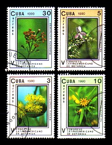 moti1550.jpg (37793 Byte)