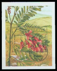 moti1554.jpg (18849 Byte)