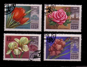 moti1556.jpg (30806 Byte)