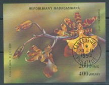 moti1557.jpg (12299 Byte)