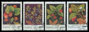 moti1561.jpg (16446 Byte)