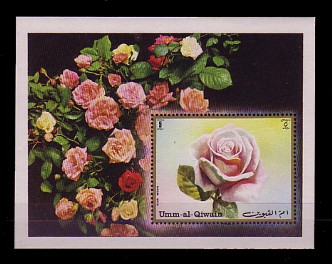 moti1563.jpg (34543 Byte)