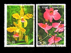 moti1567.jpg (24710 Byte)