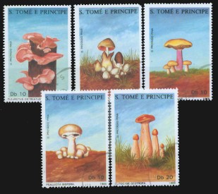 moti1606.jpg (30007 Byte)