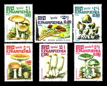 moti1610.jpg (63087 Byte)