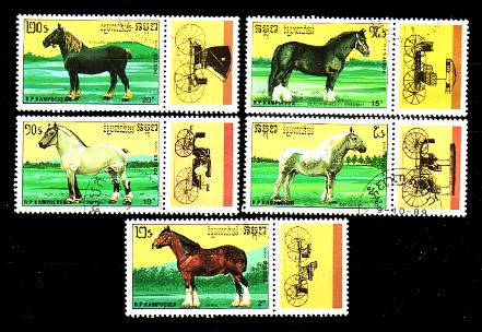 moti1808.jpg (67168 Byte)