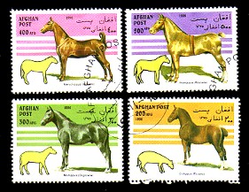 moti1809.jpg (35016 Byte)