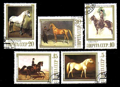 moti1810.jpg (52151 Byte)