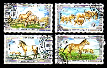 moti1813.jpg (49634 Byte)