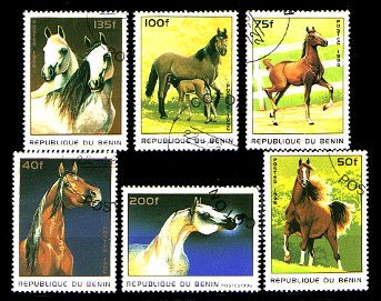 moti1817.jpg (50201 Byte)