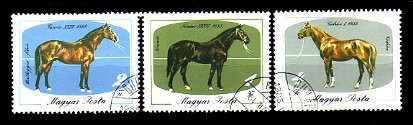 moti1820.jpg (24923 Byte)