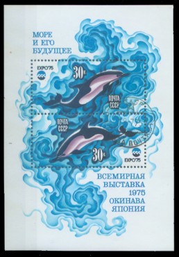 motiv365.jpg (34229 Byte)